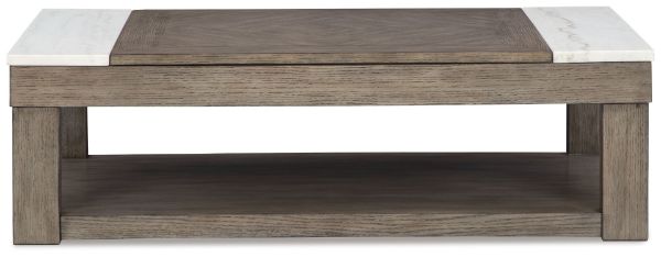  Loyaska Lift-Top Coffee Table, Grayish Brown/White 