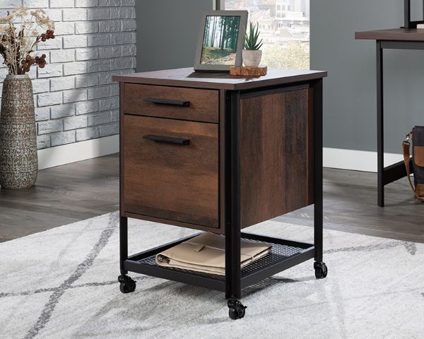  Briarbrook 2 Door Mobile File, Brown 