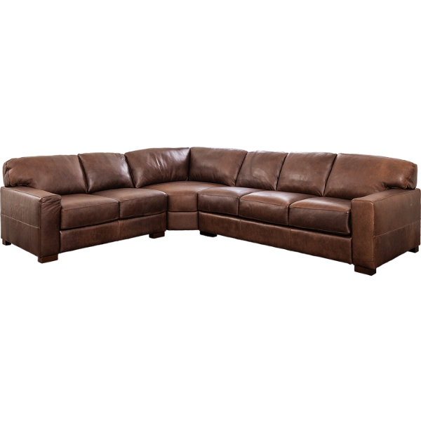 Ana 3 Piece All Italian Leather Sectional with RAF Sleeper 