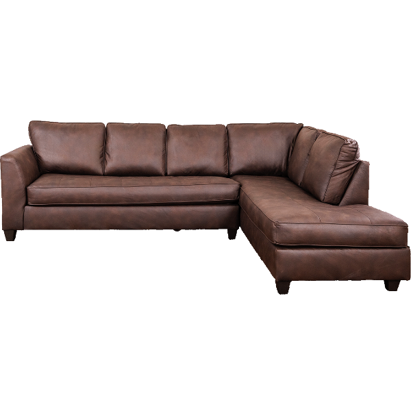 Wilder 2PC Sectional 