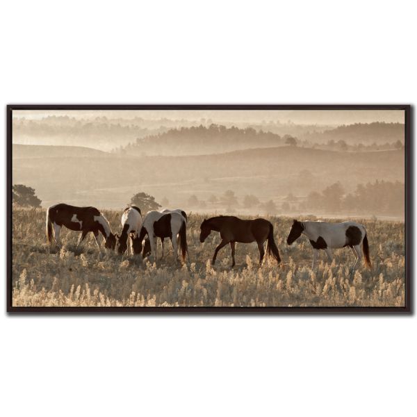 Wild Horse Sanctuary 