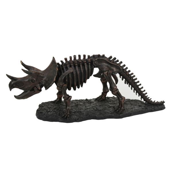 Triceratops Skeleton 