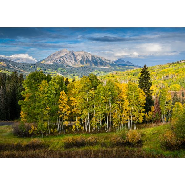 Autumn On Kebler Pass 