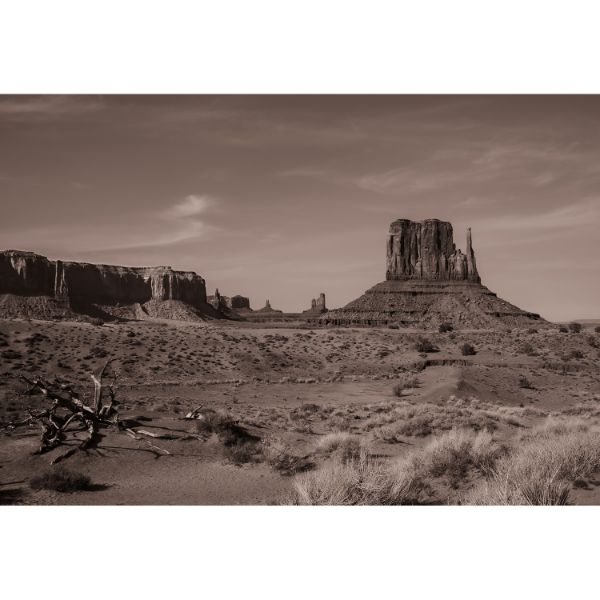 Monument Valley Landscape 