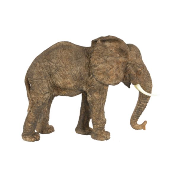 Tai Elephant Accent 