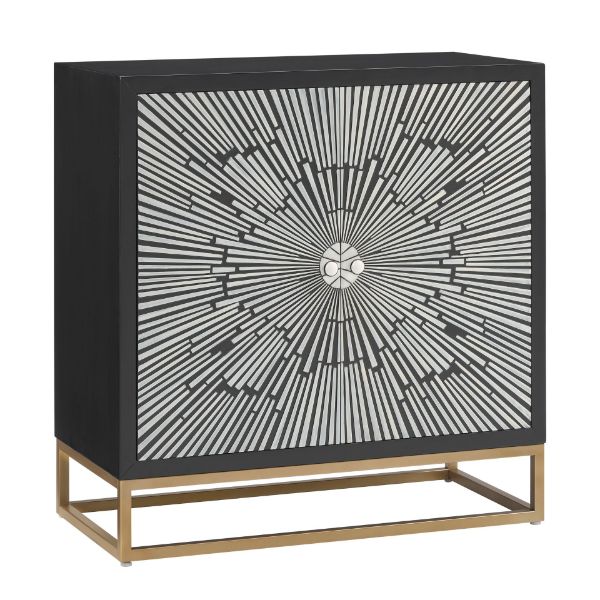 2 Door Accent Cabinet 