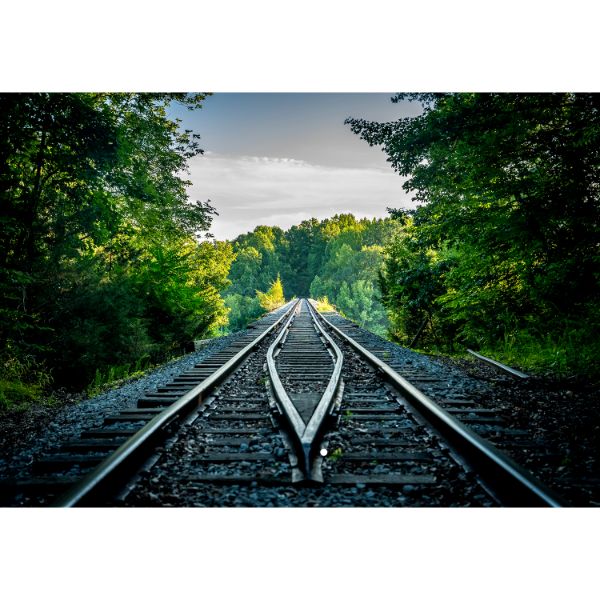 Path To Nowhere 24x36 *D 