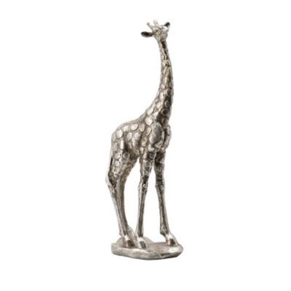 Standing Giraffe 