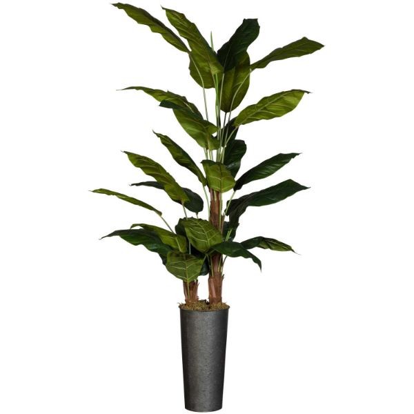 7 Foot Spath Tree 
