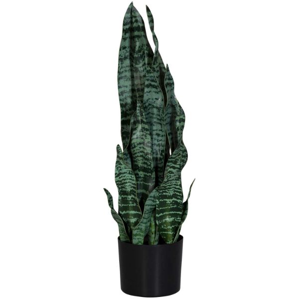 26in Sansevieria Plant 