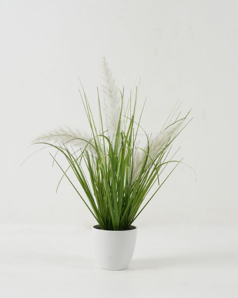 15in Potted Grass Shrub 