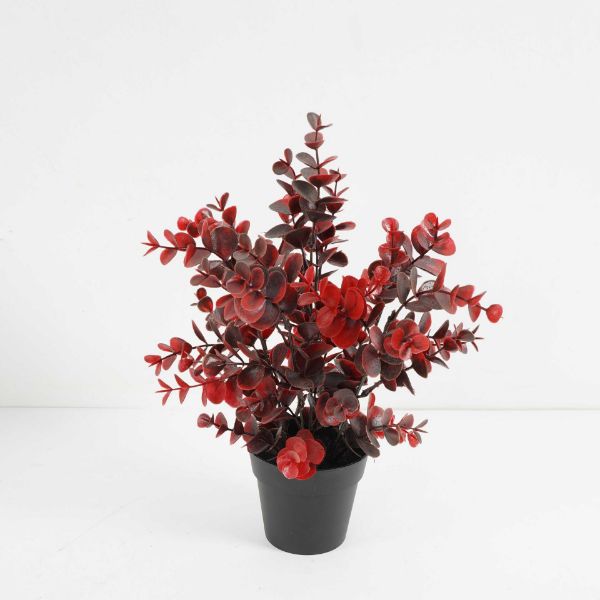 13in Red Eucalyptus 