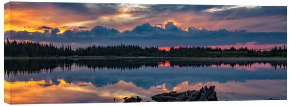 Quarantine Sunrise 