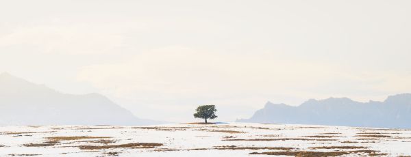 Colorado Front Range Symmetry 