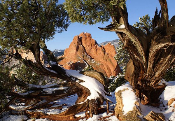 Garden of The Gods 