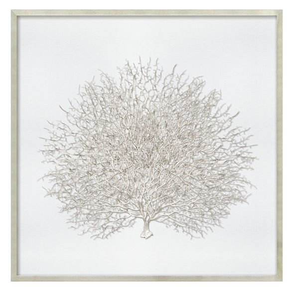Sea Fan in Silver Frame 