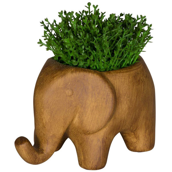 Grass In Elephant Vase 