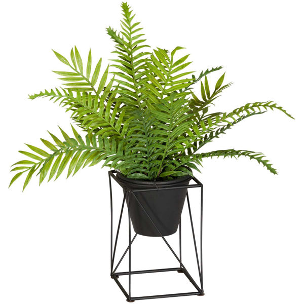 Ferns On Metal Stand 