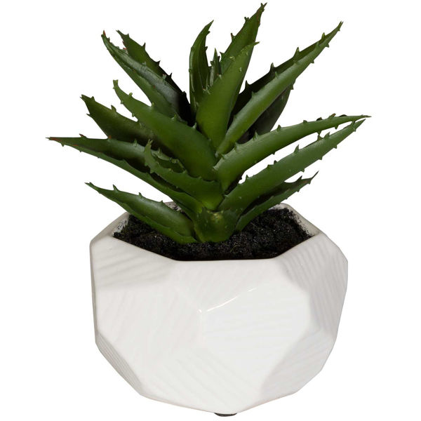 Leaves In Round White Container 
