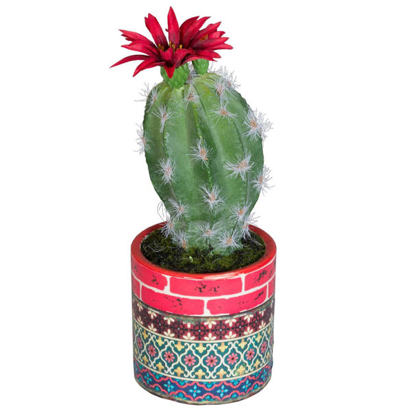 Cactus In Patterned Vase 