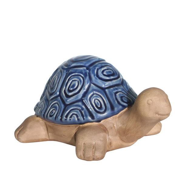 Navy Tortoise 