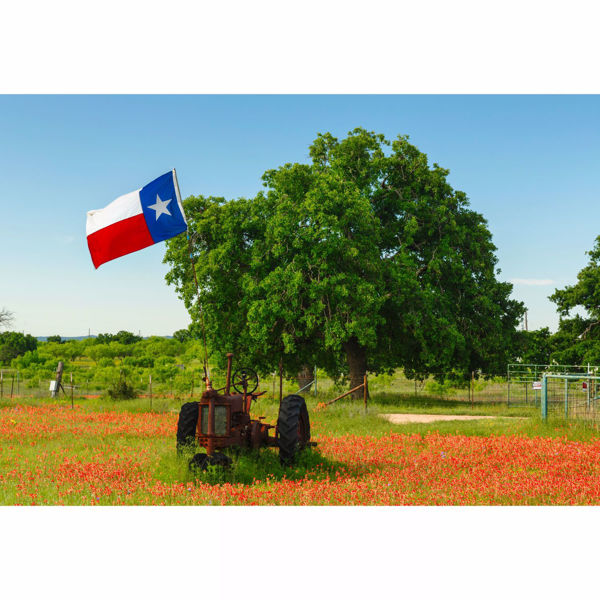 Old Texas Tractor 32x48 *D 