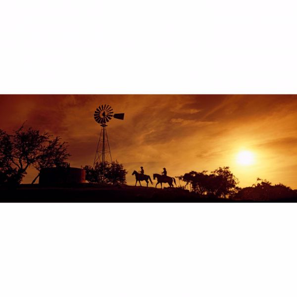 Horse Back Sunset 20x60 *D 