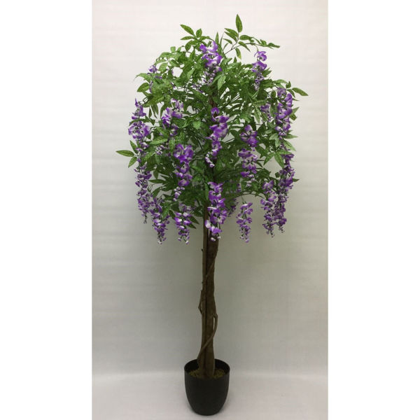 Lavender Wisteria Tree 1 Lavender Wisteria Tree