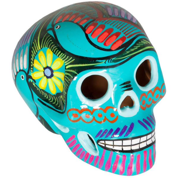 Aqua Multi Skull 