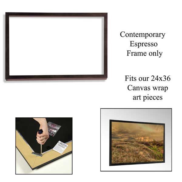 Contemporary Espresso Frame 
