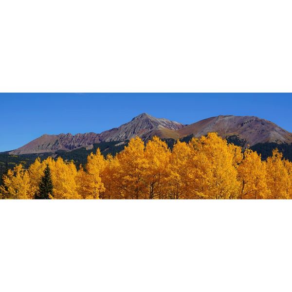 Autumns Gift 20x60 *D 