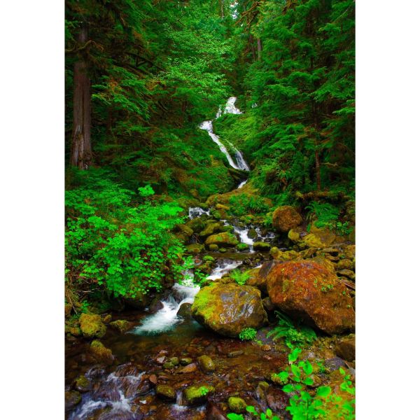 Spring Runoff at Quinault River 24x36 *D 