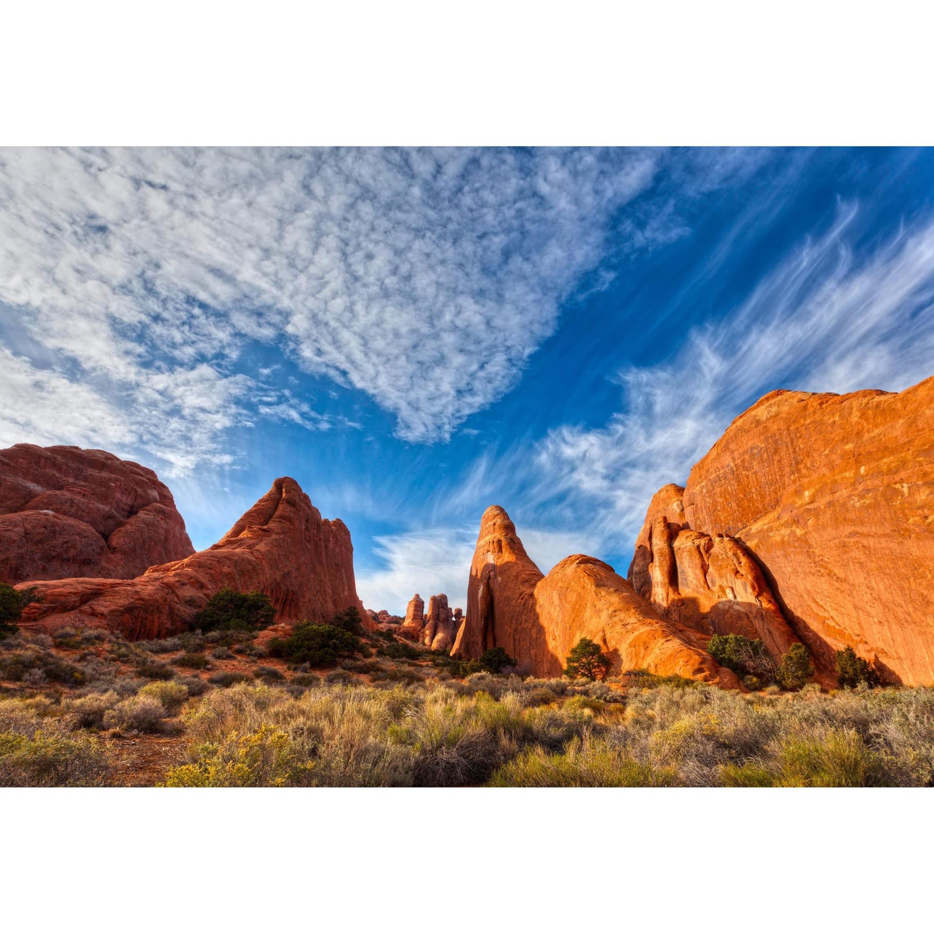 Devils Garden 48x32 *D 2 Devils Garden 48x32 *D