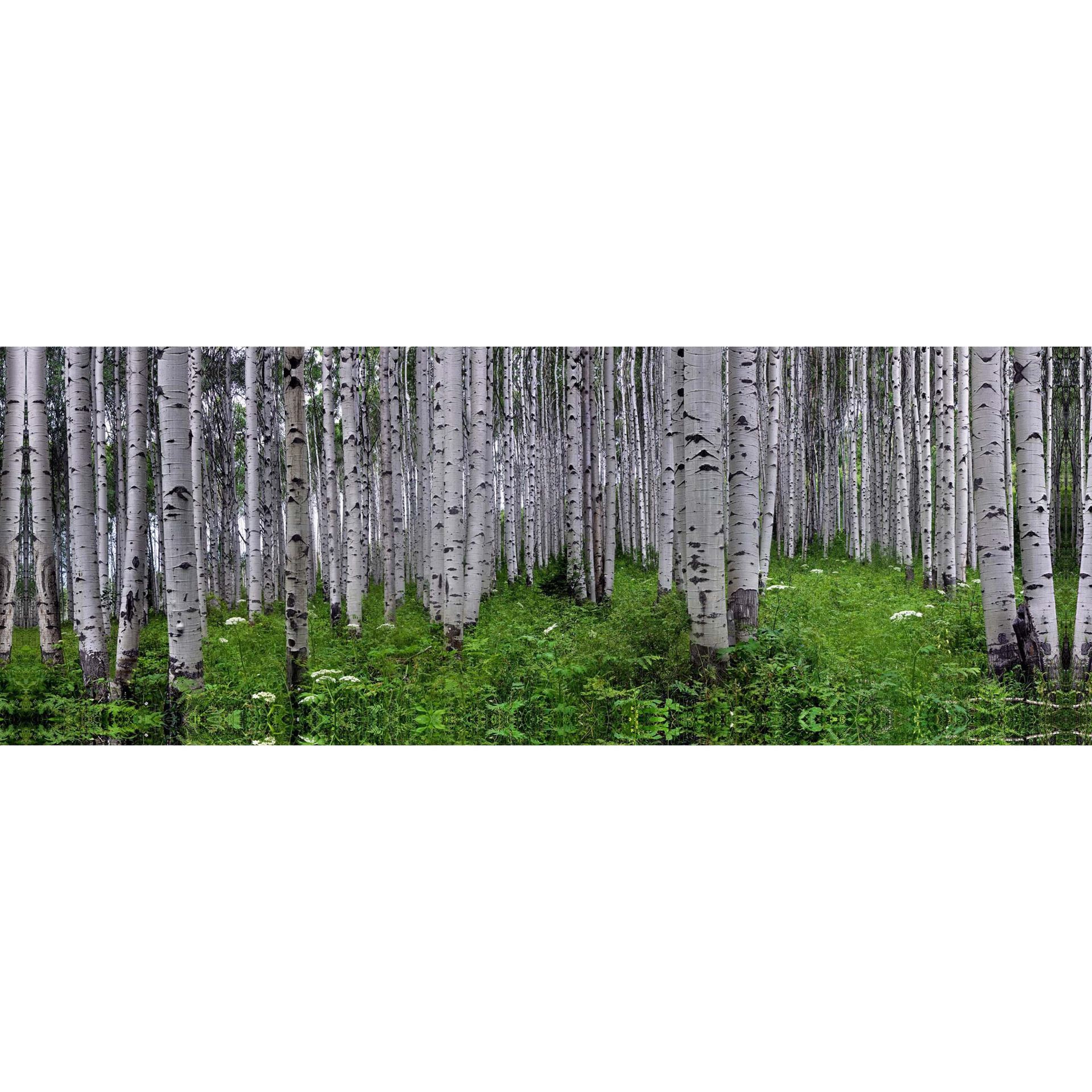 McClure Pass 60X20 *D 2 McClure Pass 60X20 *D
