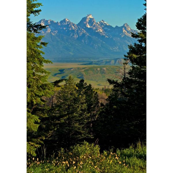 Tetons Sunrise 24x36 *D 1 Tetons Sunrise 24x36 *D
